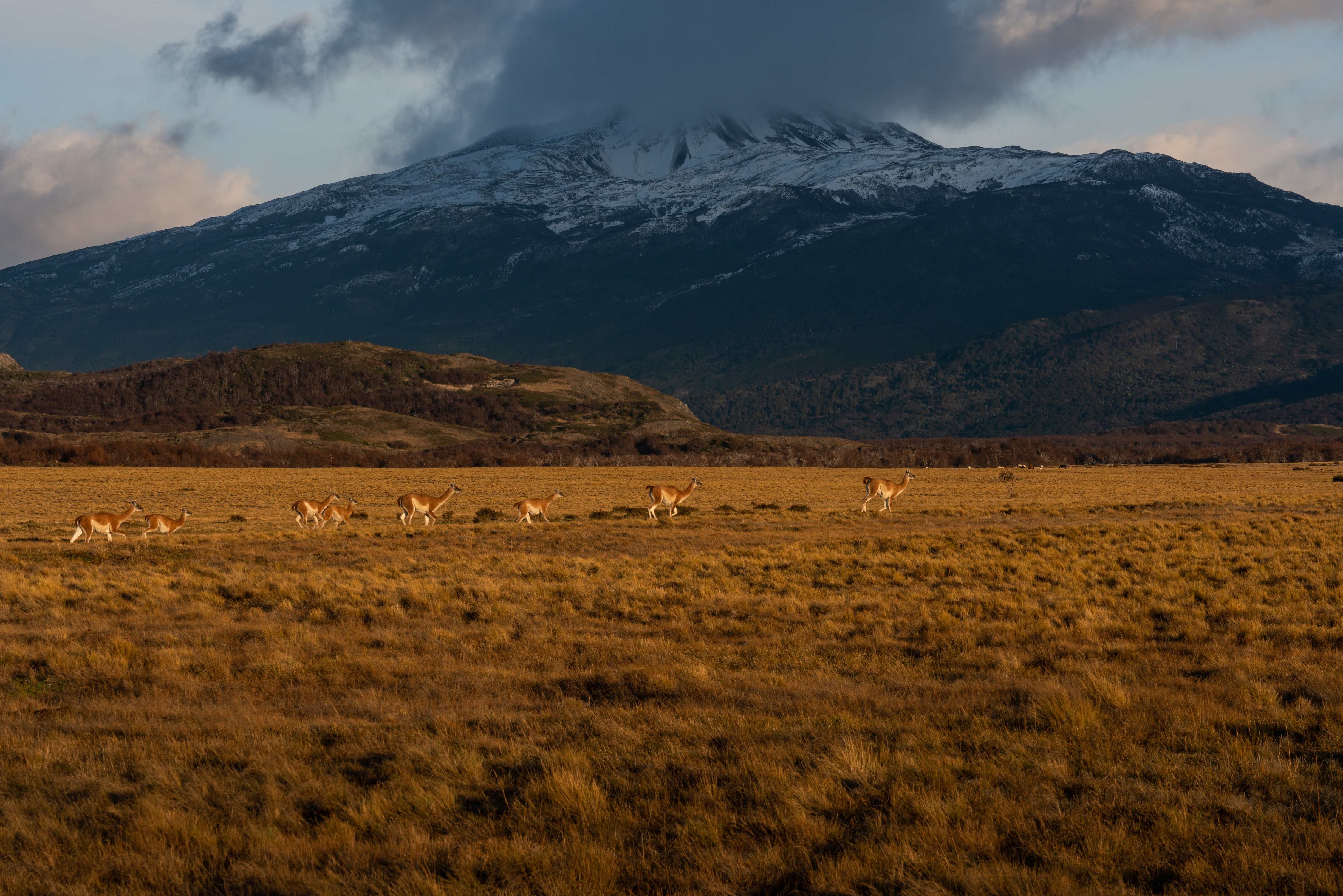 Patagonia landscape